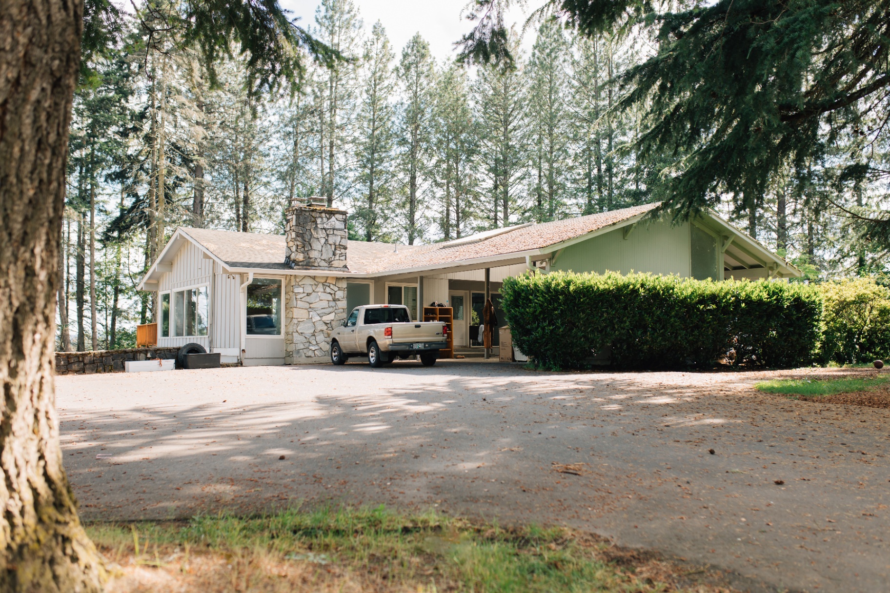 Front of the house surrounded by tall evergreens