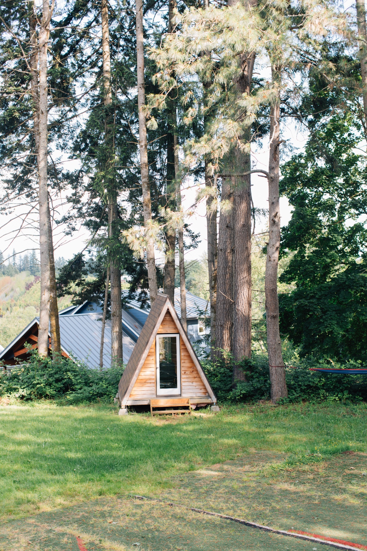 Small cedar A-frame cabin tucked among tall evergreens on the lawn